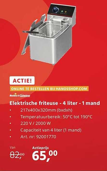 Elektrische friteuse - 4 liter - 1 mand