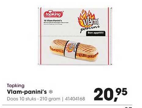 Vlam-panini's