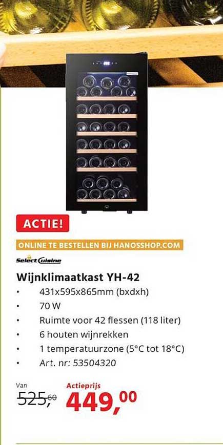 Wijnklimaatkast YH-42