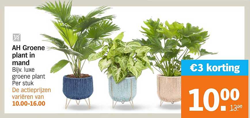 AH Groene plant in mand