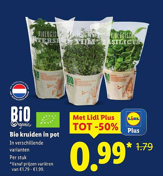 Bio kruiden in pot