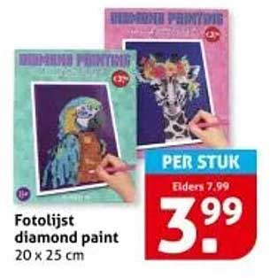 Fotolijst diamond paint 20 x 25 cm