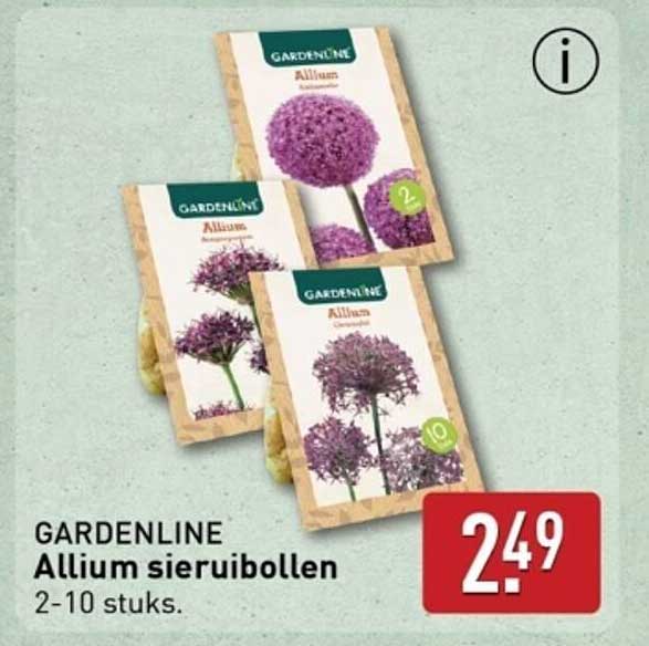 GARDENLINE Allium sieruibollen