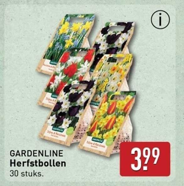 GARDENLINE Herfstbollen 30 stuks.