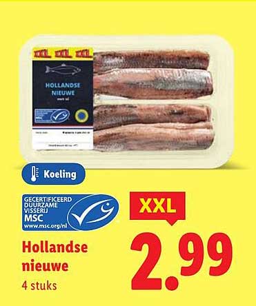 Hollandse nieuwe