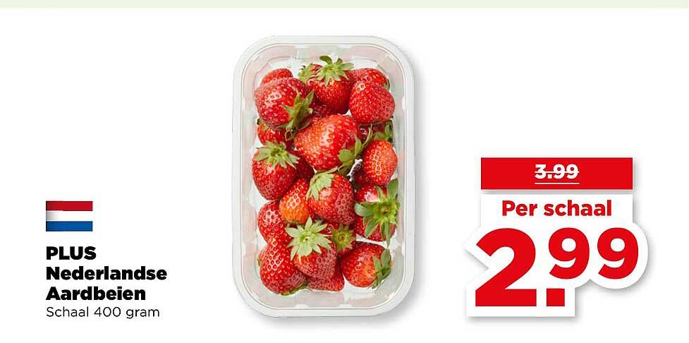 PLUS Nederlandse Aardbeien Schaal 400 gram