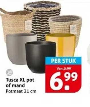 Tusca XL pot of mand