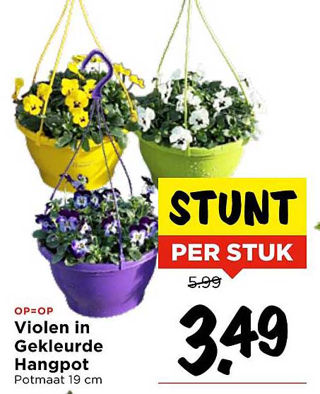 Violen in Gekleurde Hangpot