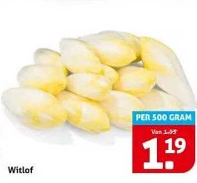 Witlof