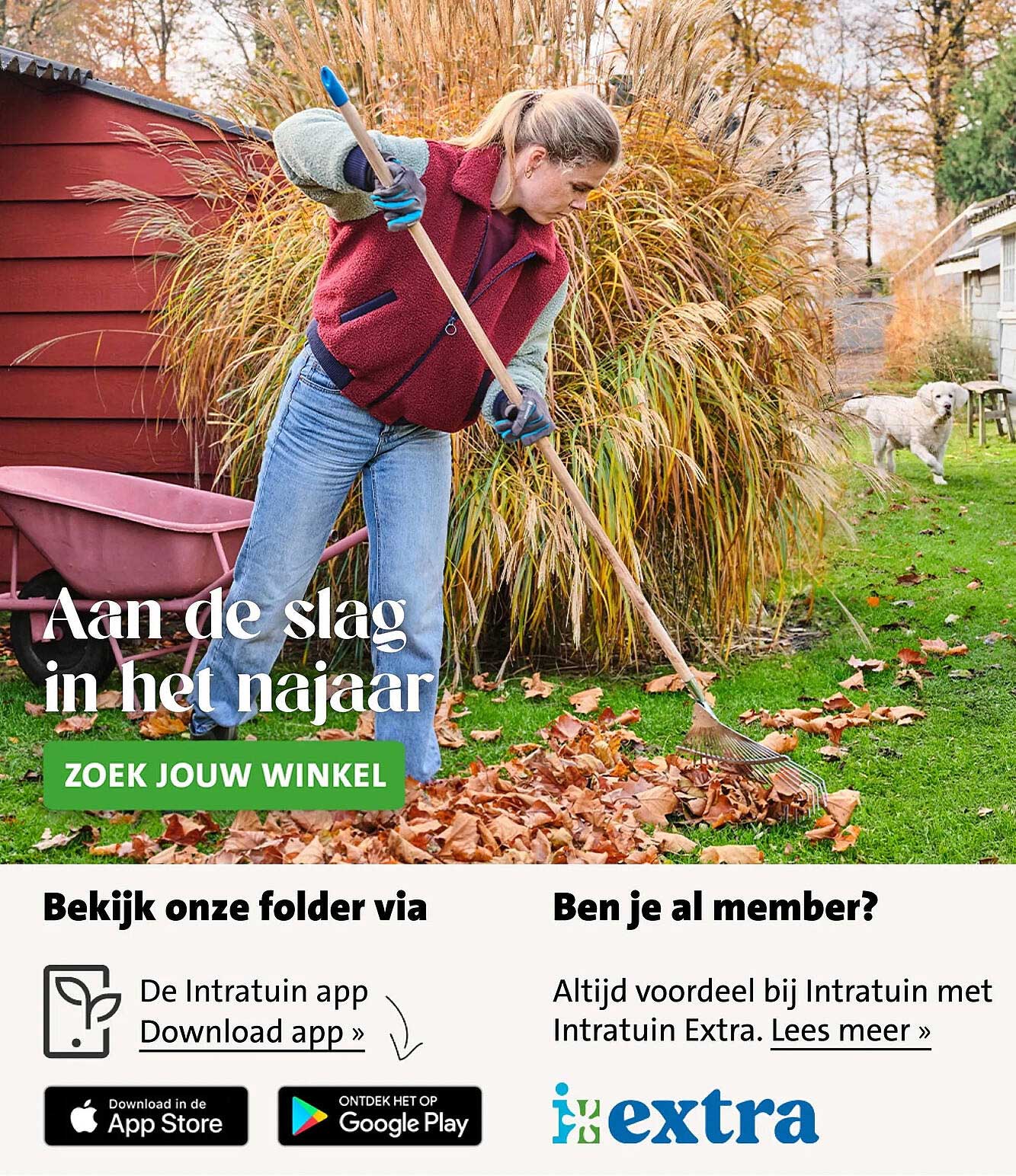 Aan de slag in het najaar