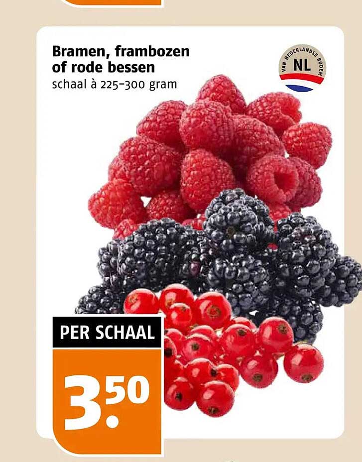 Bramen, frambozen of rode bessen schaal à 225-300 gram PER SCHAAL