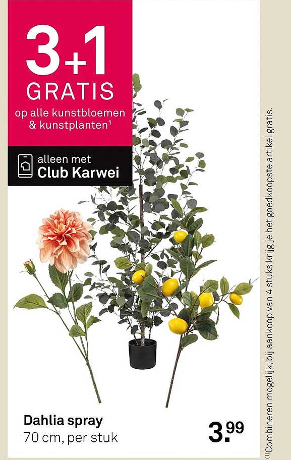 Dahlia spray 70 cm, per stuk 3+1 gratis