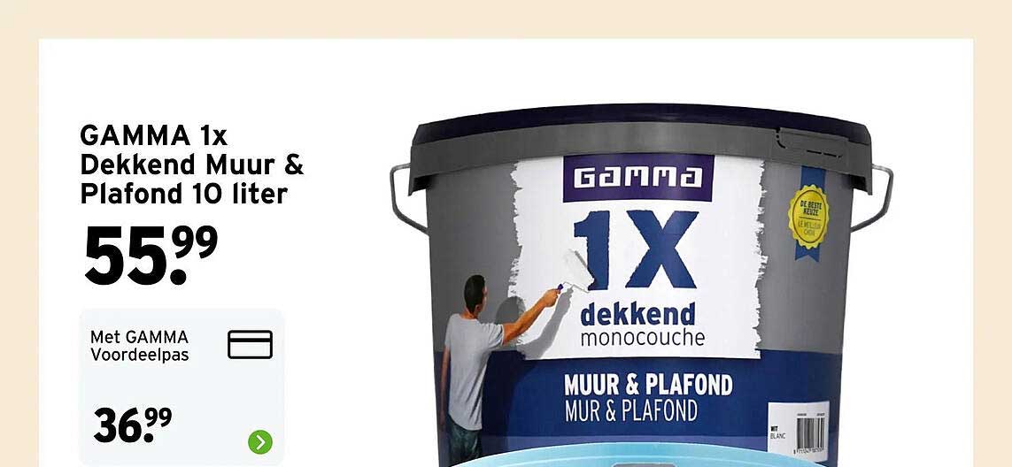 GAMMA 1x Dekkend Muur & Plafond 10 liter