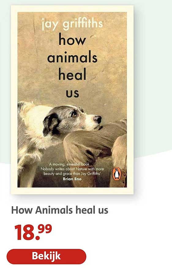 How Animals heal us