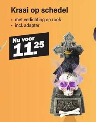 Kraai op schedel