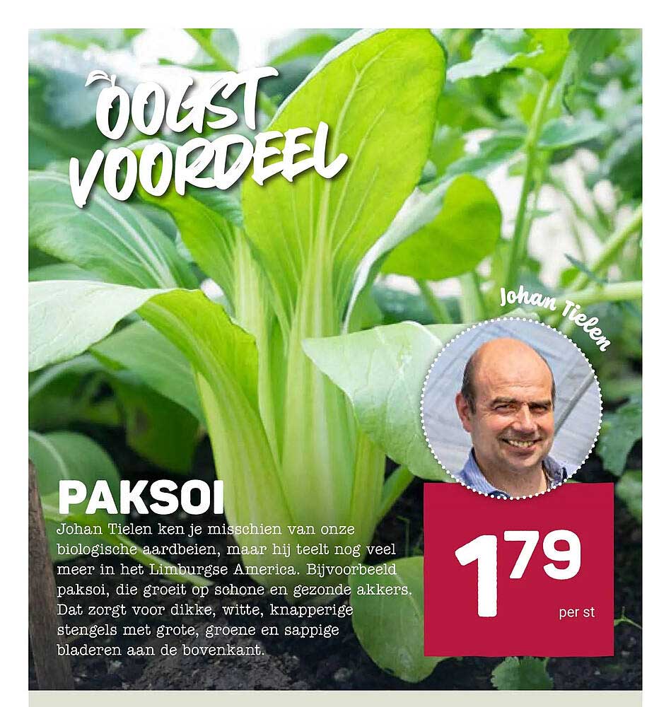 PAKSOI