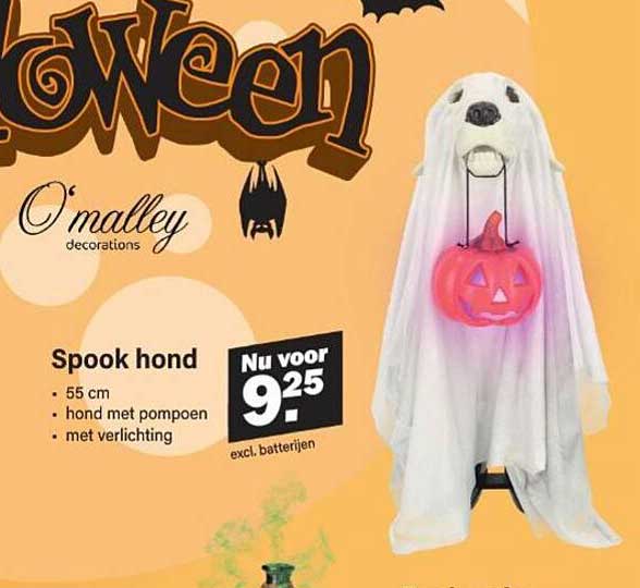 Spook hond