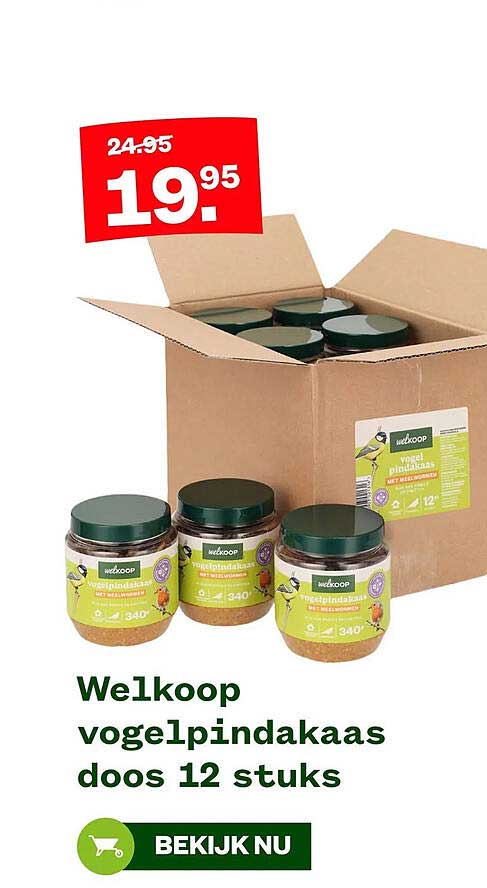 Welkoop vogel pindakaas doos 12 stuks