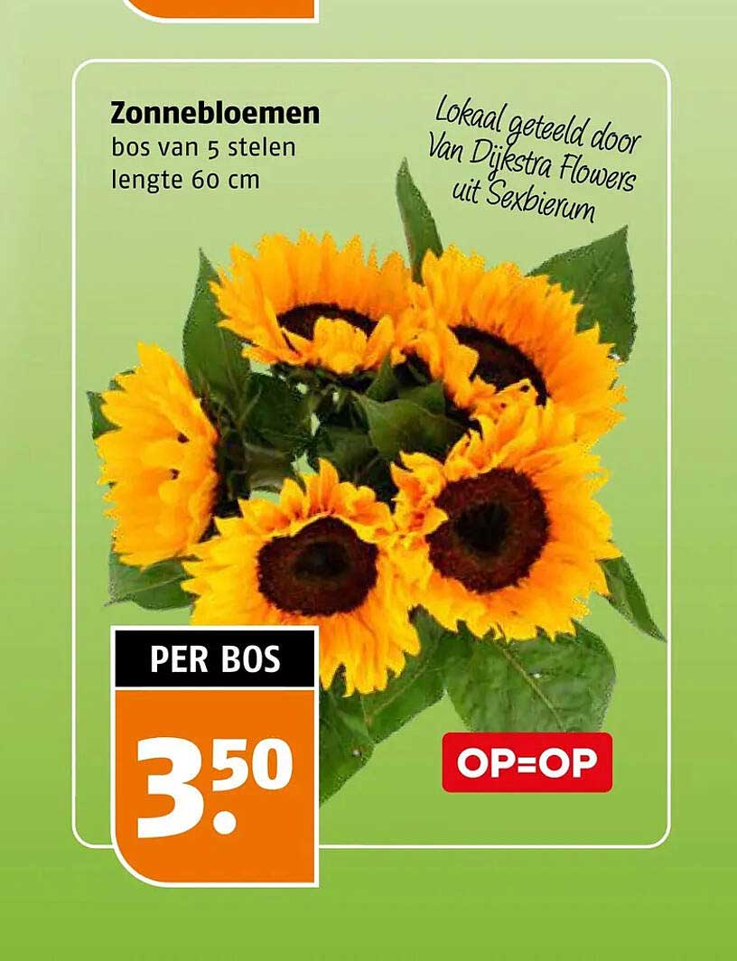 Zonnebloemen bos van 5 stelen lengte 60 cm OP=OP