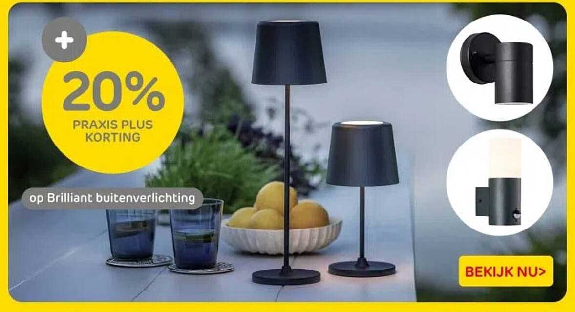 20% PRAXIS PLUS KORTING op Brilliant buitenverlichting