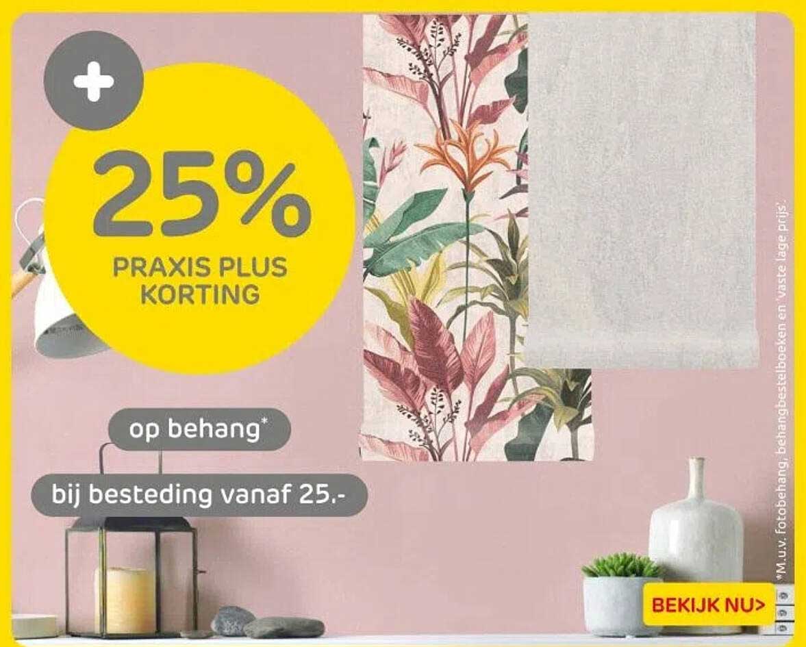 25% PRAKIS PLUS KORTING op behang bij besteding vanaf 25,-