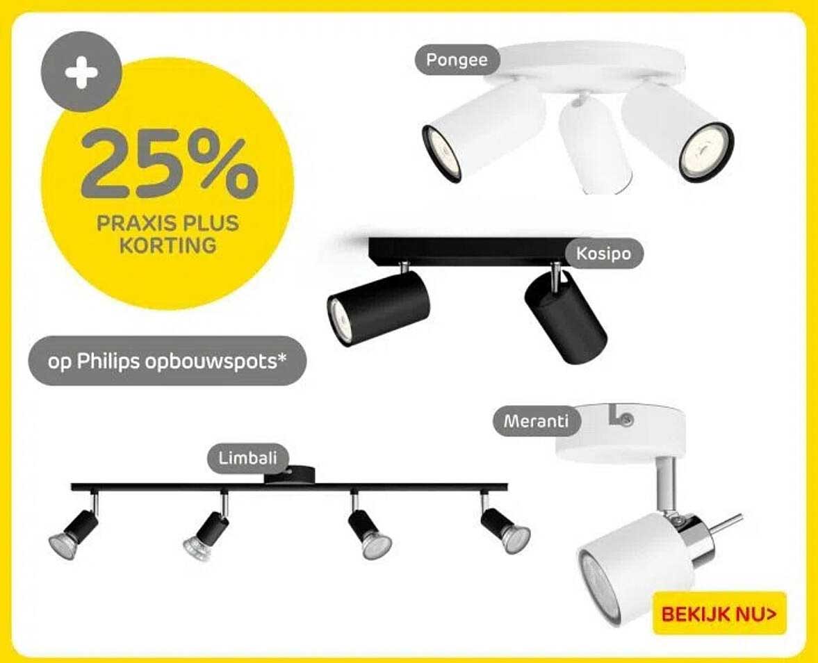 25% PRAKIS PLUS KORTING op Philips opbouwspots*