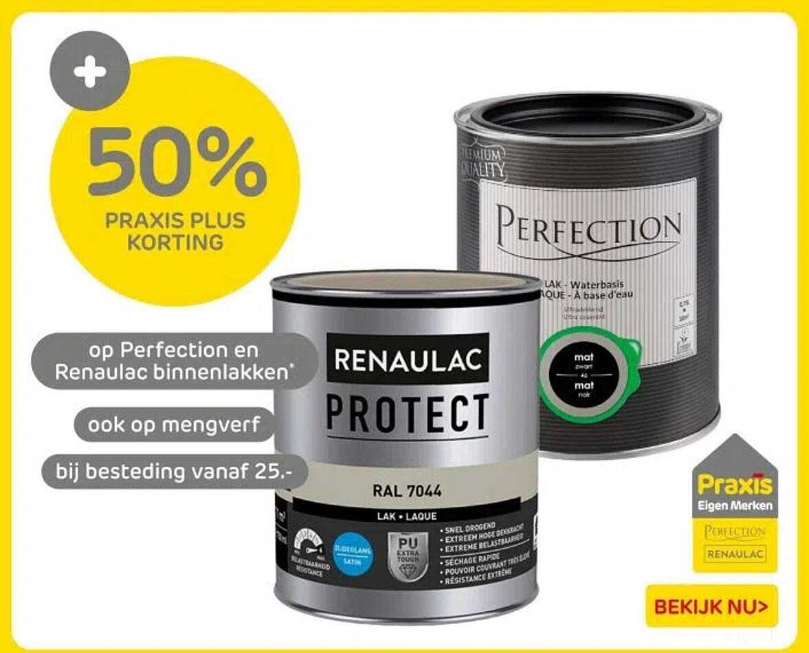 50% PRAXIS PLUS KORTING op Perfection en Renau lac binnenlakken