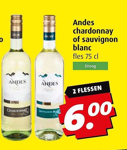 Andes chardonnay of sauvignon blanc fles 75 cl