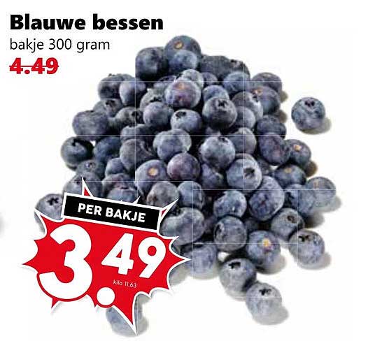 Blauwe bessen bakje 300 gram