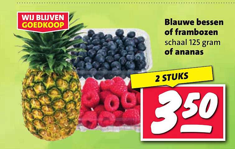 Blauwe bessen of frambozen schaal 125 gram