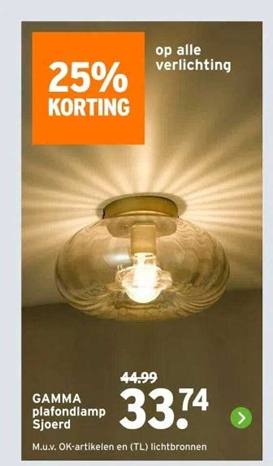 GAMMA plafondlamp Sjoerd