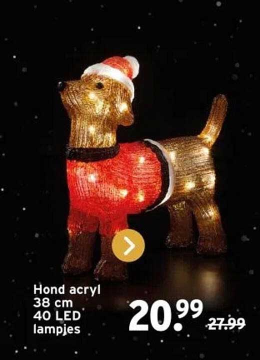 Hond acryl 38 cm 40 LED lampjes