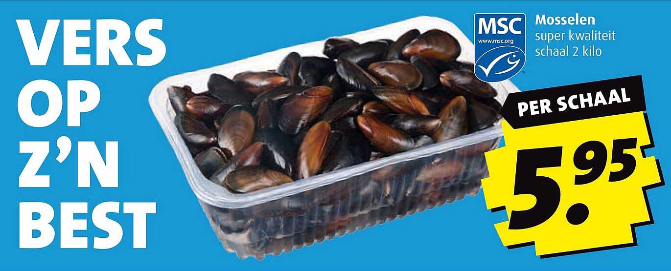 Mosselen super kwaliteit schaal 2 kilo