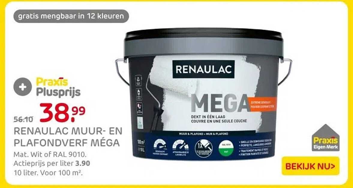 RENAULAC MUUR- EN PLAFONDVERF MÉGA