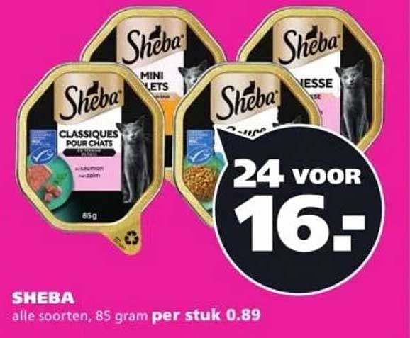 SHEBA