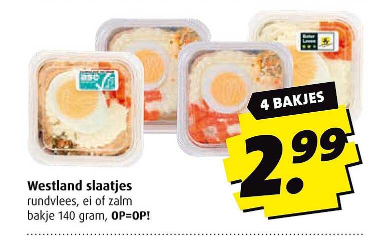 Westland slaatjes rundvlees, ei of zalm bakje 140 gram, OP=OP!