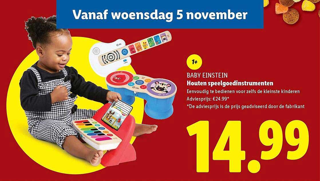 BABY EINSTEIN Houten speelgoedinstrumenten