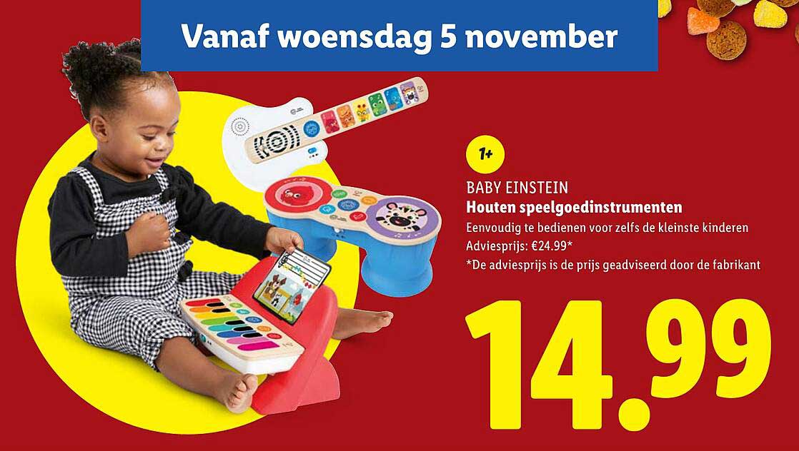 BABY EINSTEIN Houten speelgoedinstrumenten