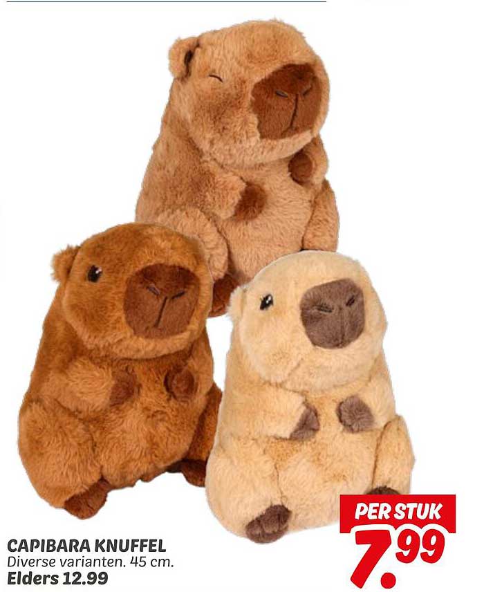 CAPIBARA KNUFFEL