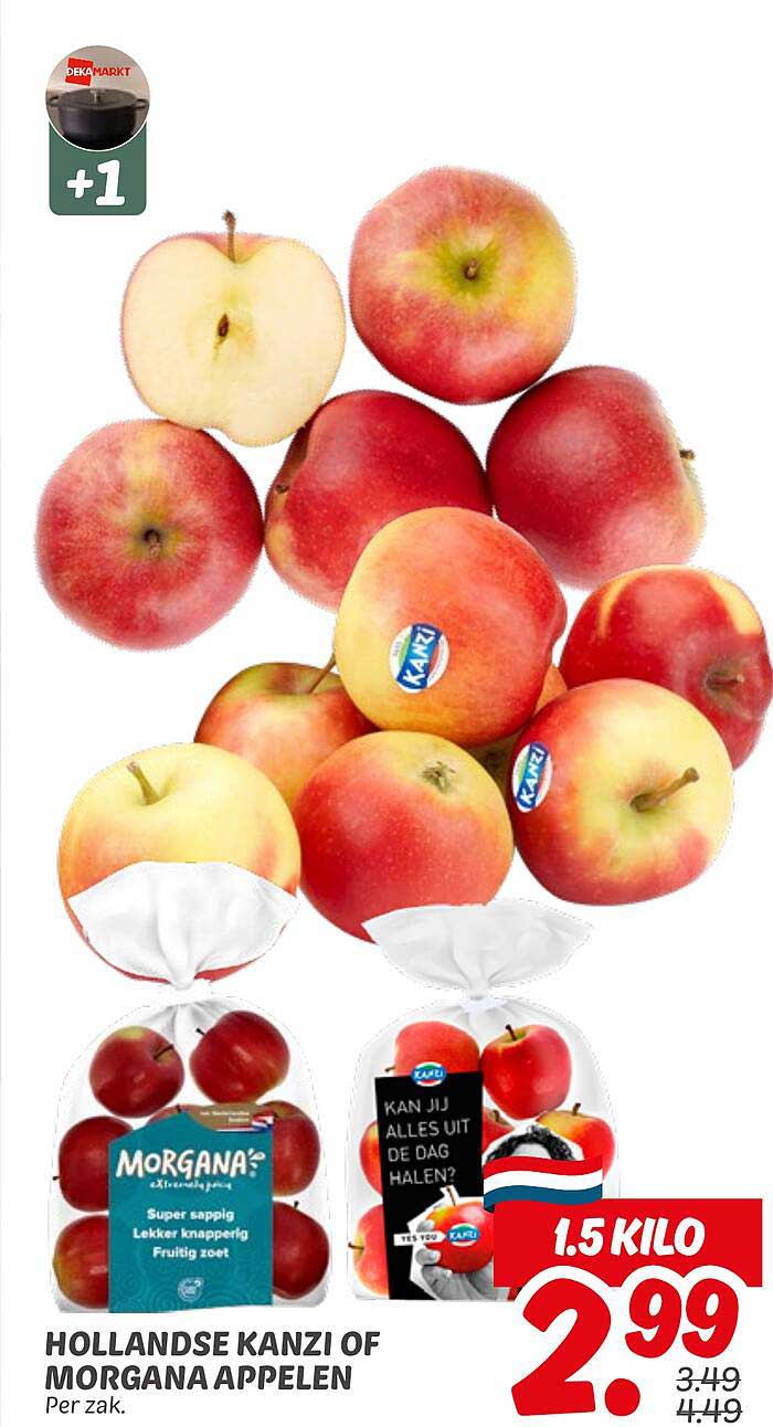 Hollandse Kanzi of Morgana Appelen