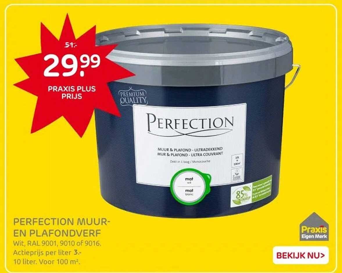 PERFECTION MUUR- EN PLAFONDVERF
