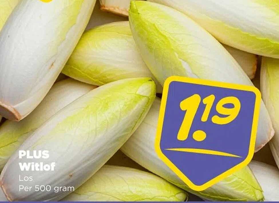 PLUS Witlof Los Per 500 gram