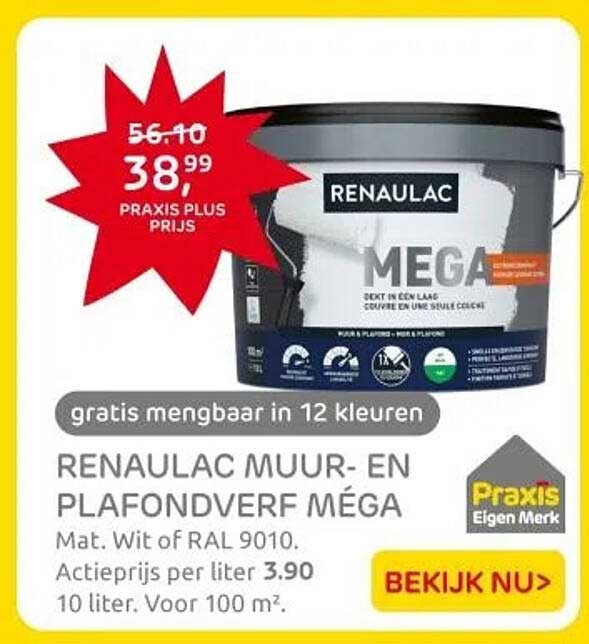 RENAULAC MUUR- EN PLAFONDVERF MÉGA