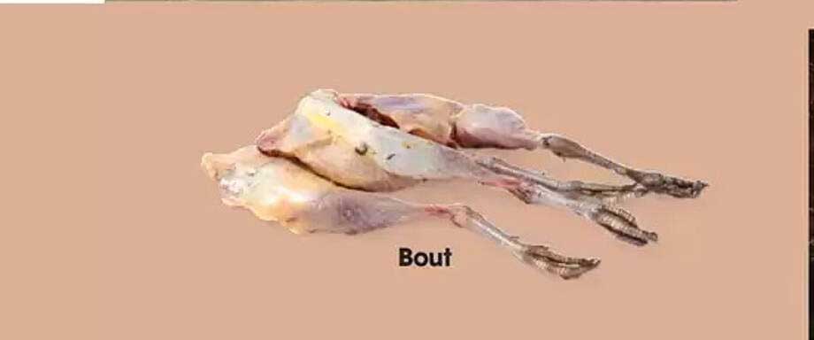 Bout
