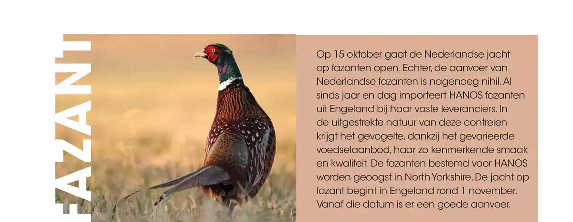 Fazanten uit Engeland, hoogwaardige kwaliteit