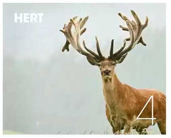 HERT