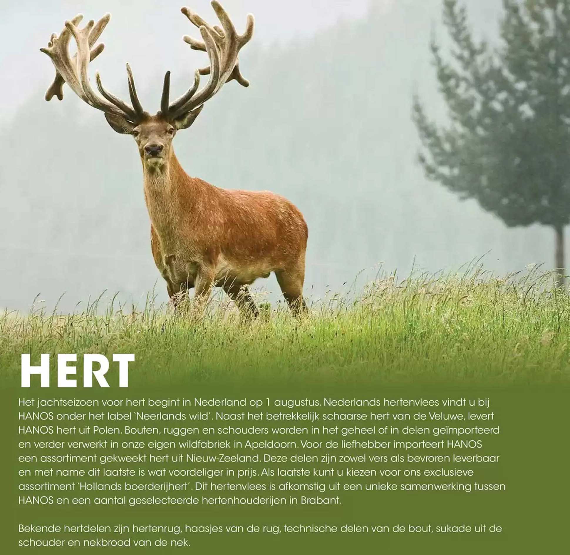 HERT