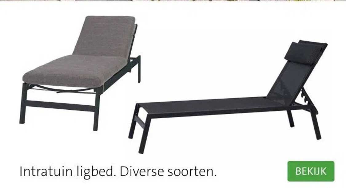 Intratuin ligbed. Diverse soorten.