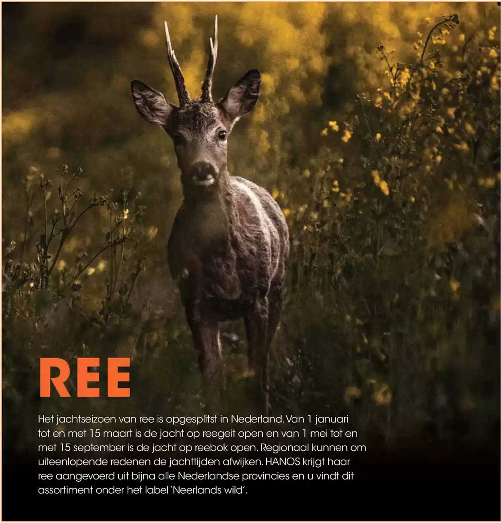 REE