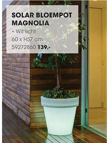 SOLAR BLOEMPOT MAGNOLIA